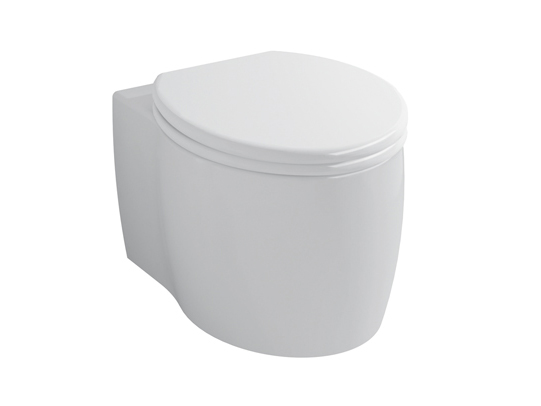 Wall-mounted concealed toilet