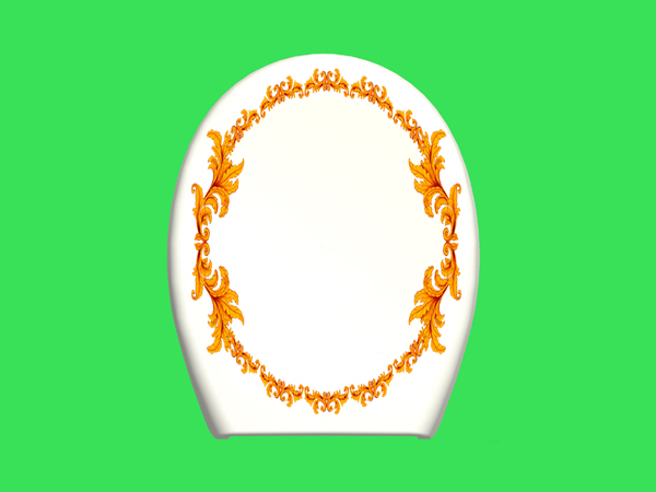 Toilet Cover Plate