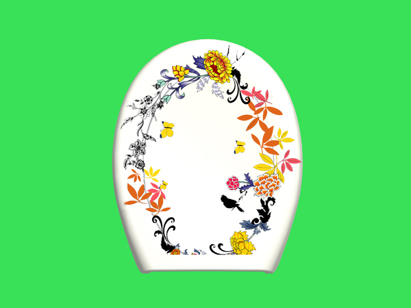 Toilet Cover Plate