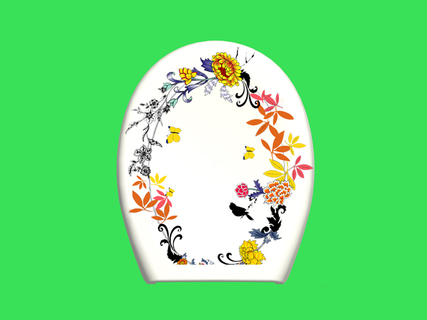 Toilet Cover Plate