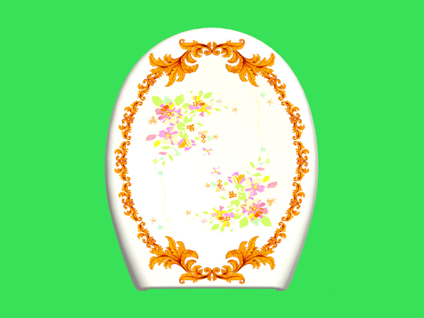 Toilet Cover Plate